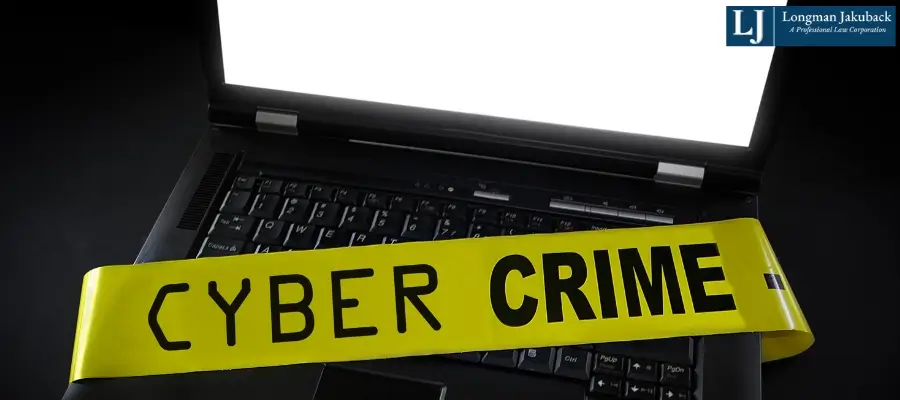 Baton Rouge Internet Crime Lawyer Best Baton Rouge Internet Crime Lawyer