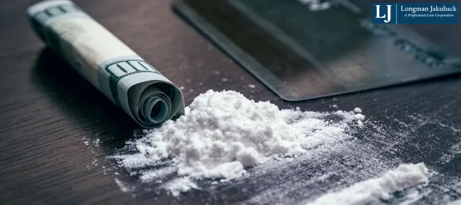 Baton Rouge Drug Possession Lawyer Best Baton Rouge Drug Possession Lawyer