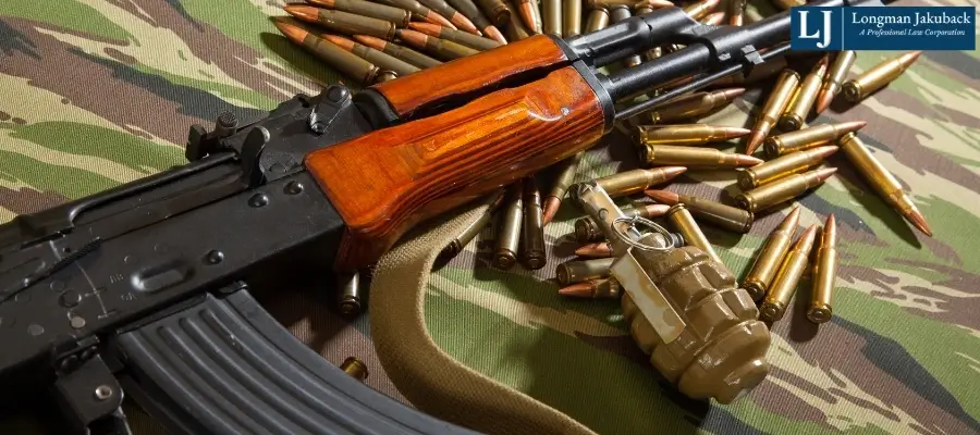 Best Baton Rouge Domestic Terrorism Lawyer