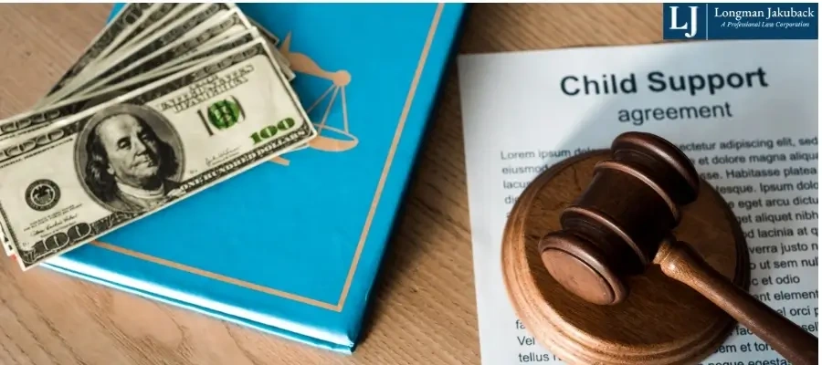 Baton Rouge Child Support Lawyer Best Baton Rouge Child Support Lawyer