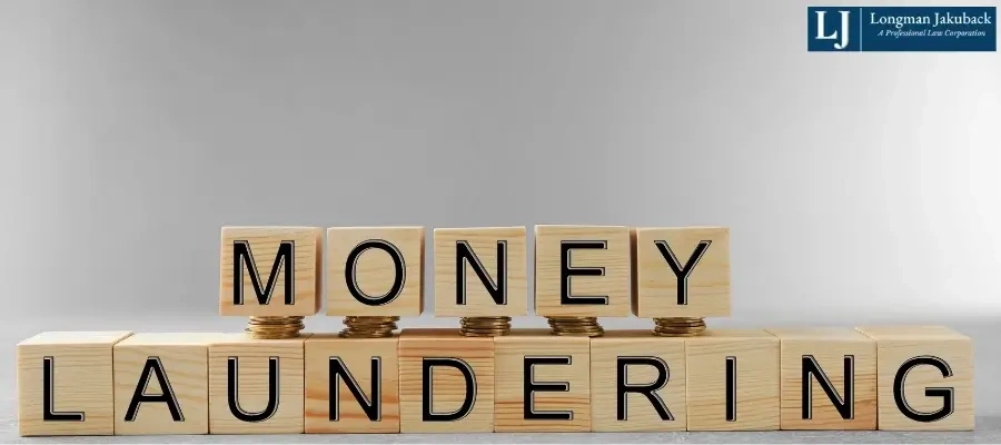 Baton Rouge Money Laundering Lawyer-image