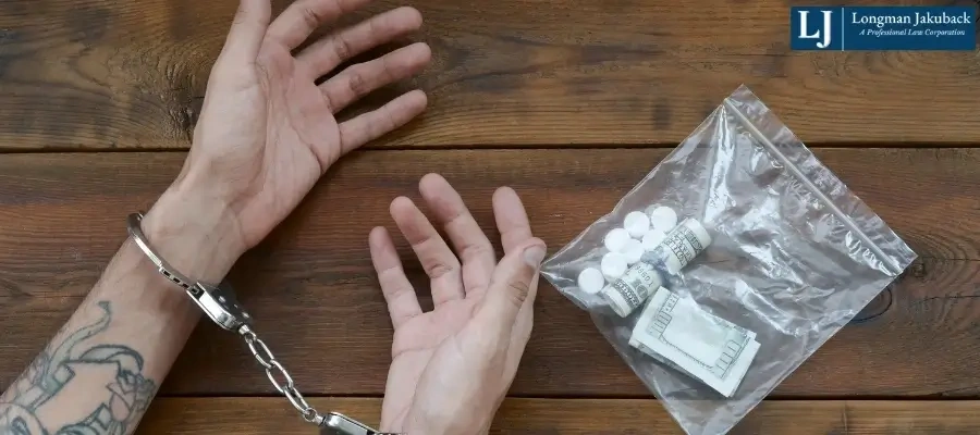 Gonzales Drug Possession Lawyer-image