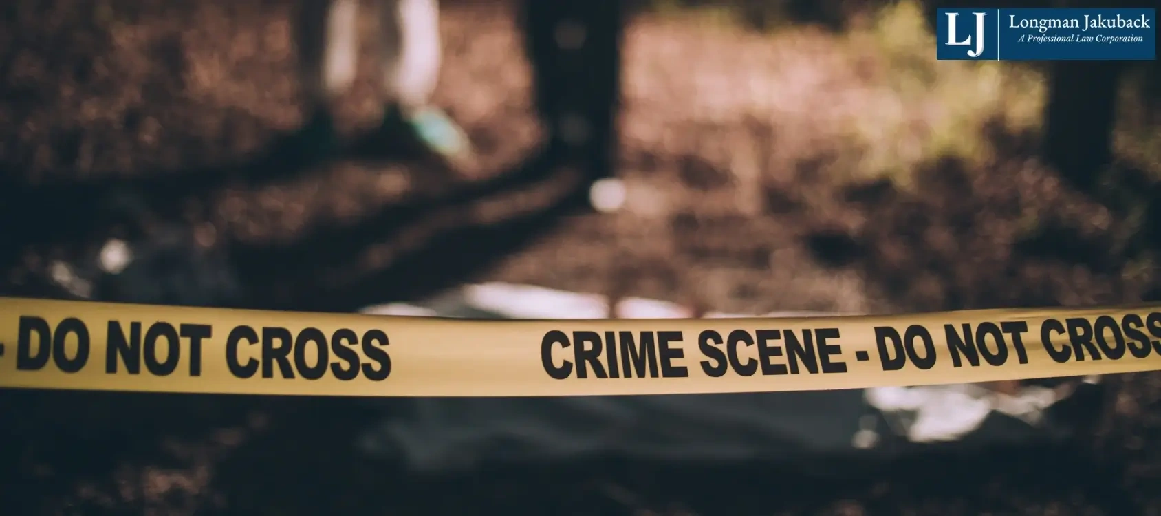 Lafayette Murder Lawyer-image